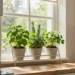 Building a Vertical Herb Garden in a Sunny Kitchen Window That Thrives