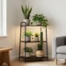 Creating a Dedicated "Plant Corner" That Doesn'T Take Over Your Living Room That Wows